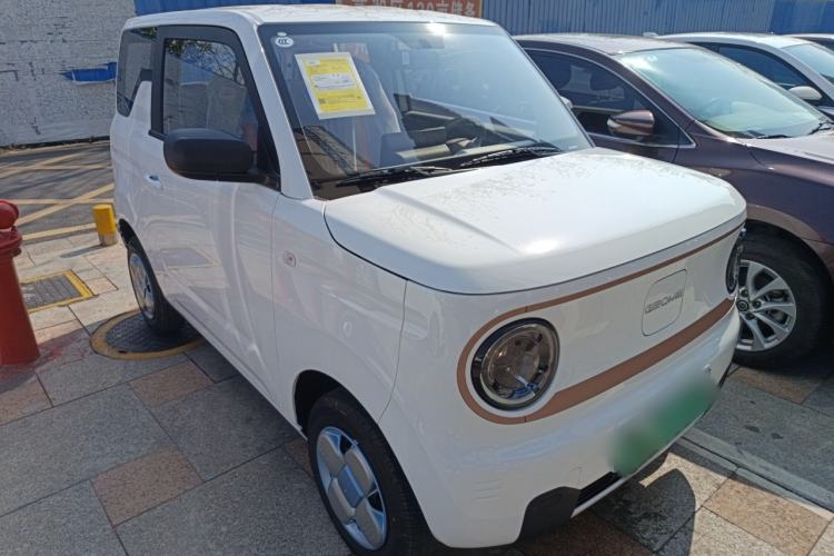 Used  Panda 2024 Panda Mini 200km Endurance Bear
