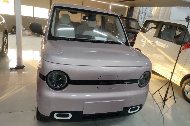 Used  Panda 2025 210 km – Yuanqi Bear
