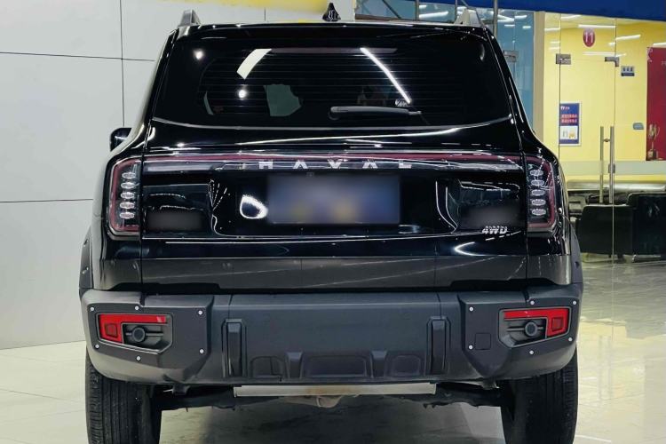 Used Haval DARGO 2024 2.0T DCT Chinese Rural Dog Edition
