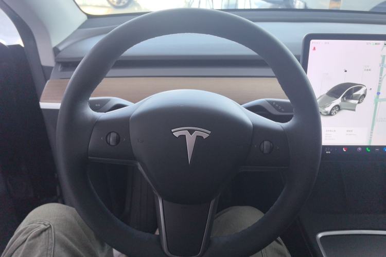 Used Tesla Model Y 2021 Standard Range Rear-Wheel Drive Version
