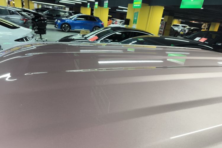 Used  Panda 2024 Panda Mini 200km Endurance Bear