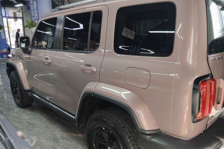 Used Tank 300 2021 City Edition 2.0T My Vision Model
