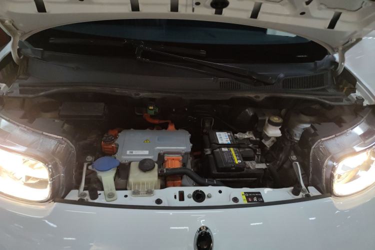 Used ORA White Cat 2020 305 km Luxury Version
