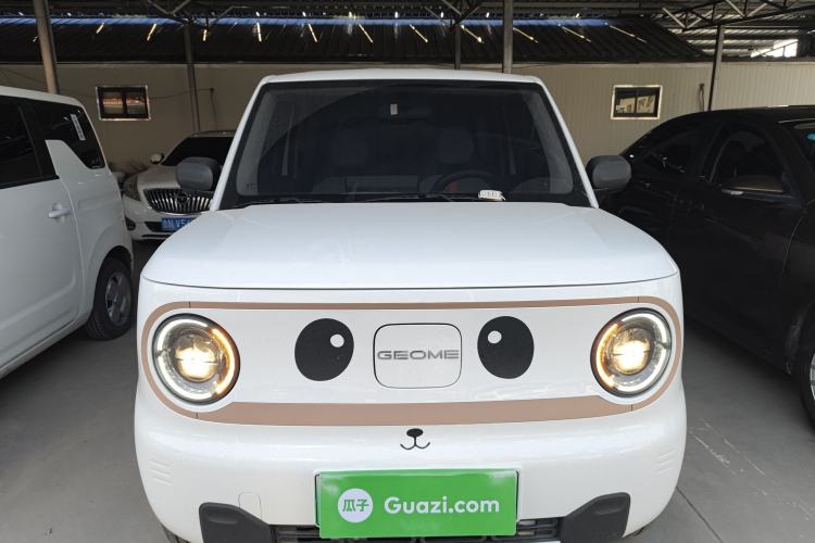 Used  Panda 2024 Panda Mini 200km Endurance Bear