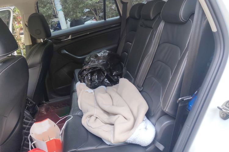 Used Skoda Kodiaq 2019 Facelifted TSI330 7-Seater Two-Wheel-Drive Luxury Enjoyment Edition China VI Standard
