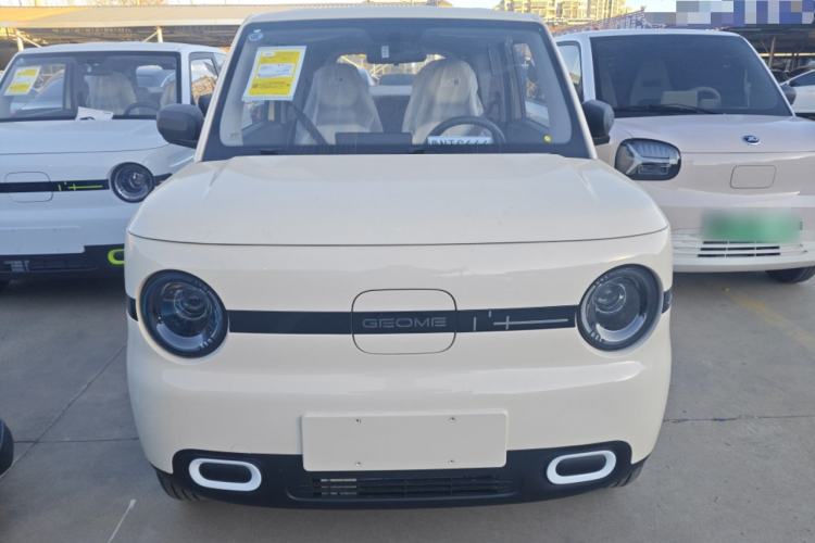 Used  Panda 2025 210 km – Yuanqi Bear
