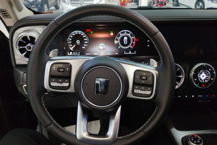 Used Tank 300 2024 2.0T Crosser
