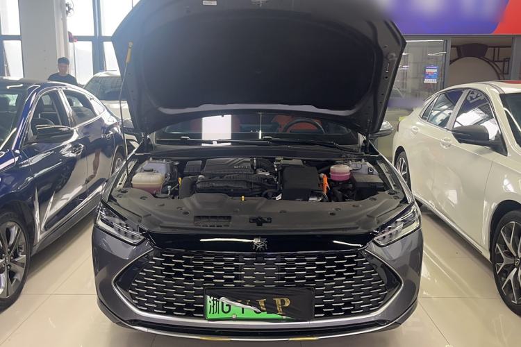 Used BYD Qin PLUS 2024 HONOR Edition DM-i 55KM Leading Model
