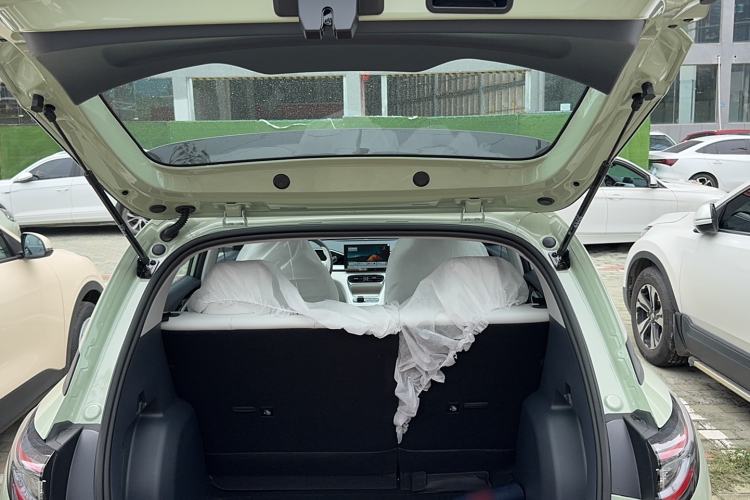 Used  Geome 2025 310km Youth Edition
