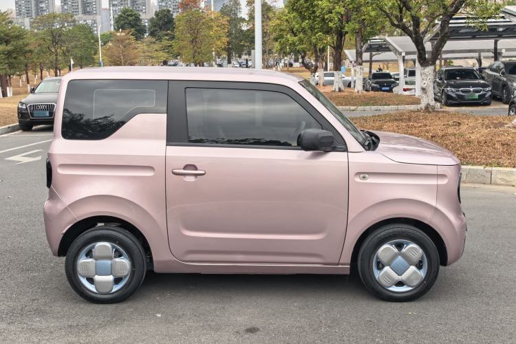 Used  Panda 2023 Panda Mini 200km Endurance Bear
