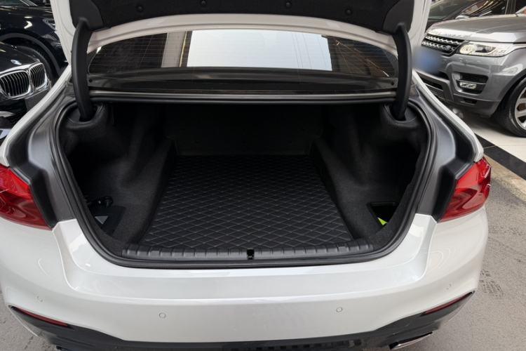 Used BMW 5 Series 2019 530Li Leading Model M Sport Package
