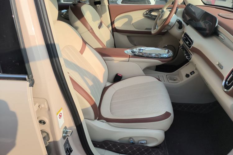 Used ORA Ballet Cat 2023 401 km Luxury Version