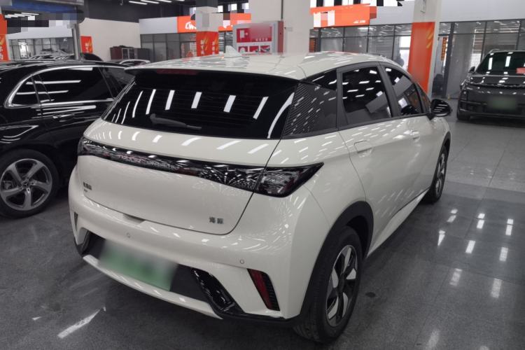Used BYD Dolphin 2025 420km Free Edition