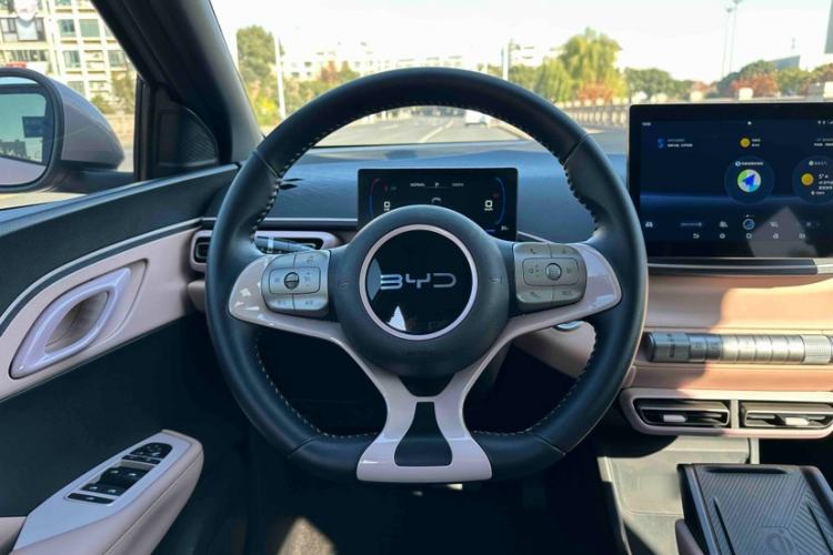 Used BYD Seagull 2024 Honor Edition 305km Freedom Version
