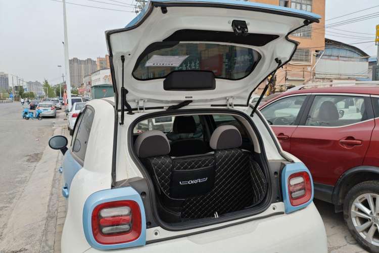 Used ORA Black Cat 2019 351 km Lingzhi Edition
