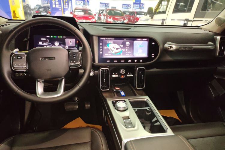 Used Haval DARGO 2024 2.0T DCT Chinese Rural Dog Edition