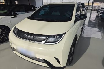 Used BYD Dolphin 2023 420 km Free Version