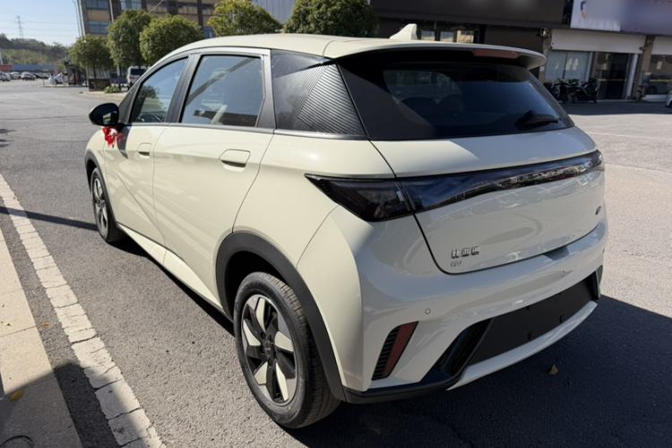 Used BYD Dolphin 2025 420km Free Edition
