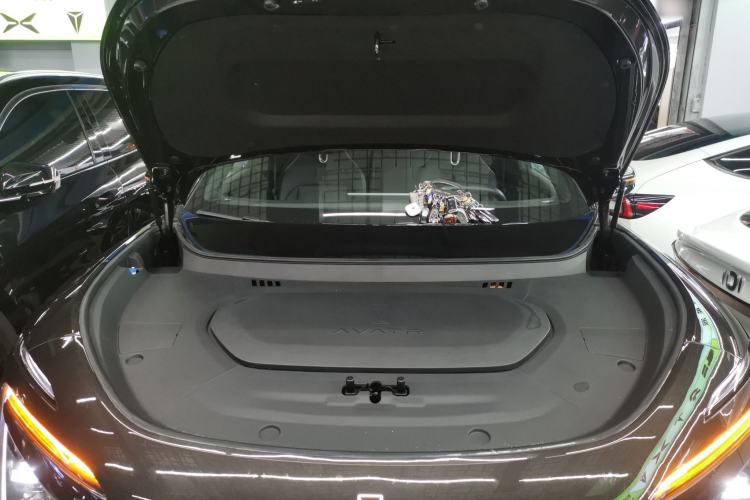 Used  07 2024 Max Extended-Range Edition
