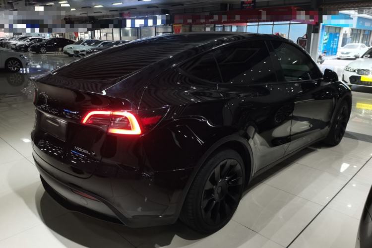 Used Tesla Model Y 2021 Standard Range Rear-Wheel Drive Version
