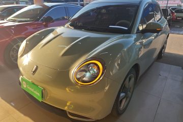 Used ORA Good Cat 2023 401 km Standard Range Luxury Version Lithium Iron Phosphate