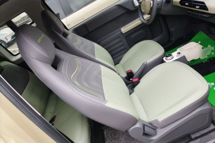 Used  Panda 2024 200km Panda Rider