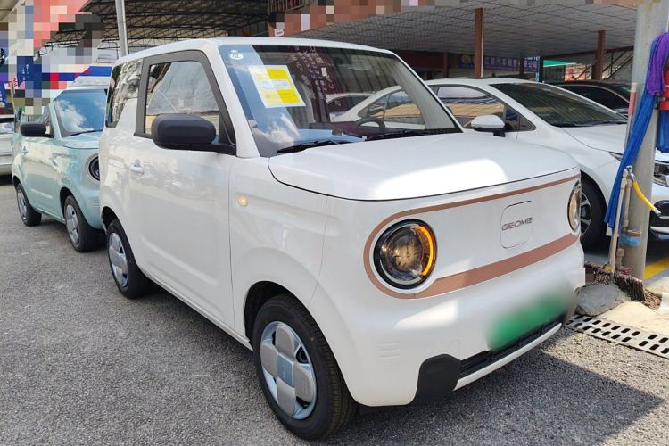Used  Panda 2024 Panda Mini 200km Endurance Bear
