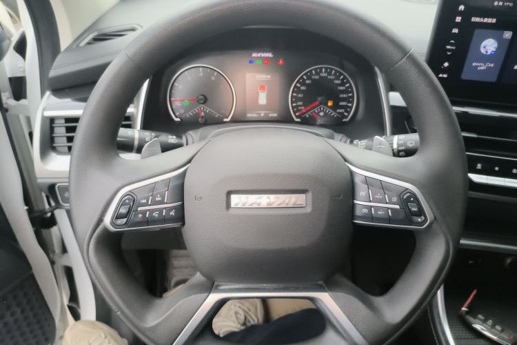 Used Haval H6 2021 National Trend Edition 1.5T Automatic Urban Version
