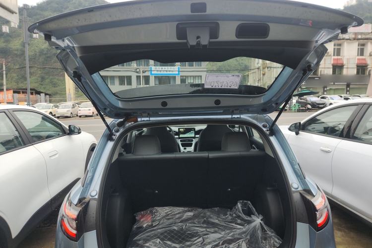 Used  Geome 2025 310km Youth Edition
