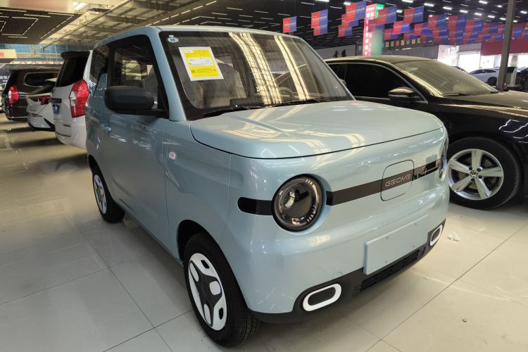 Used  Panda 2025 210 km – Yuanqi Bear
