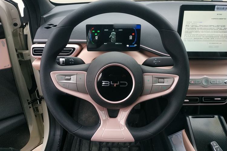 Used BYD Seagull 2025 Intelligent Driving Version 305 km Dynamic Edition
