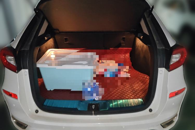 Used Honda Avancier 2019 240TURBO Two-Wheel Drive Luxury Edition
