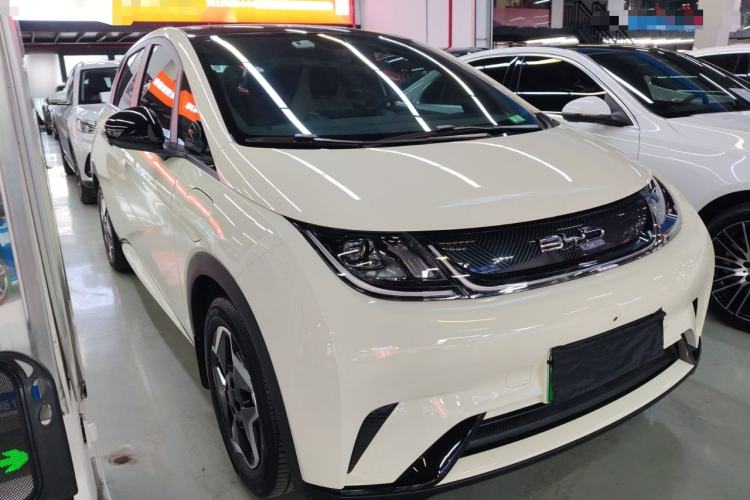 Used BYD Dolphin 2021 405 km Fashion Edition