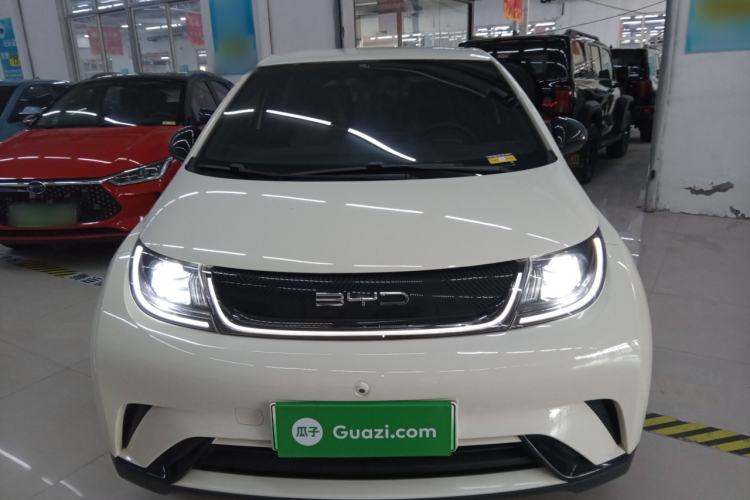 Used BYD Dolphin 2021 405 km Free Version