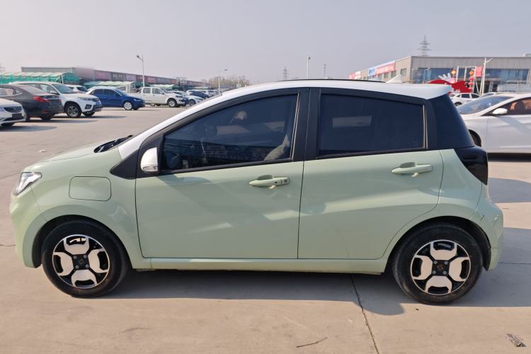 Used SOL E10X 2022 Flower Fairy Design Four-Leaf Clover