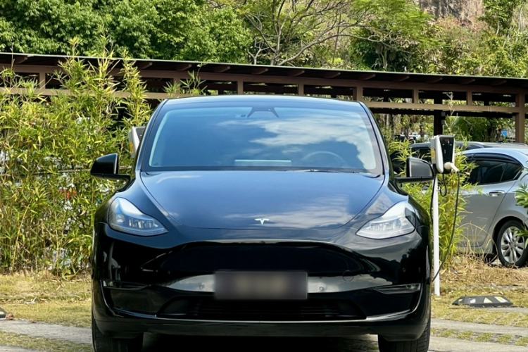 Used Tesla Model Y 2021 Standard Range Rear-Wheel Drive Version
