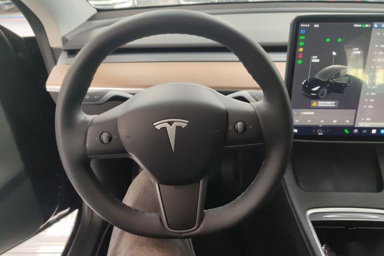 Used Tesla Model Y 2021 Standard Range Rear-Wheel Drive Version
