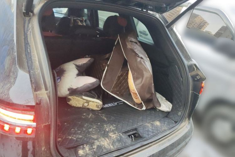 Used Geely Auto Monjaro L 2024 2.0TD DCT EVO Two-Wheel Drive Long-Range Version