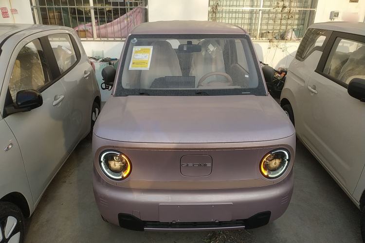 Used  Panda 2024 Panda Mini 200km Endurance Bear