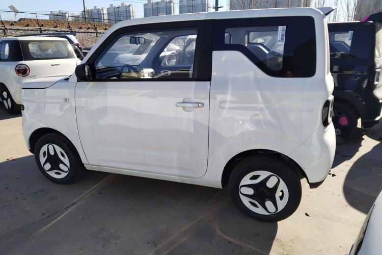 Used  Panda 2025 210 km – Yuanqi Bear