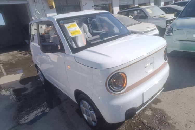 Used  Panda 2024 Panda Mini 200km Endurance Bear
