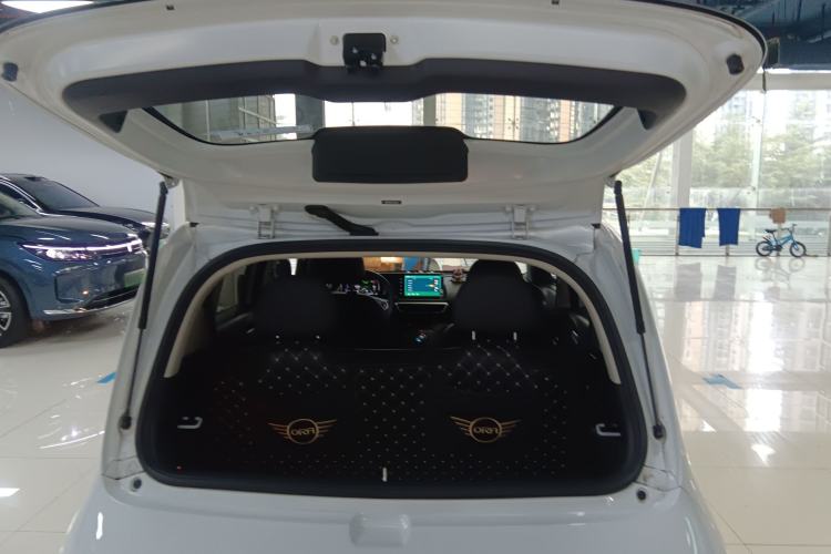 Used ORA White Cat 2020 401 km Flagship Version
