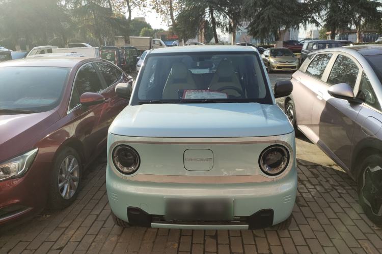 Used  Panda 2023 Panda Mini 200km Dynamic Bear