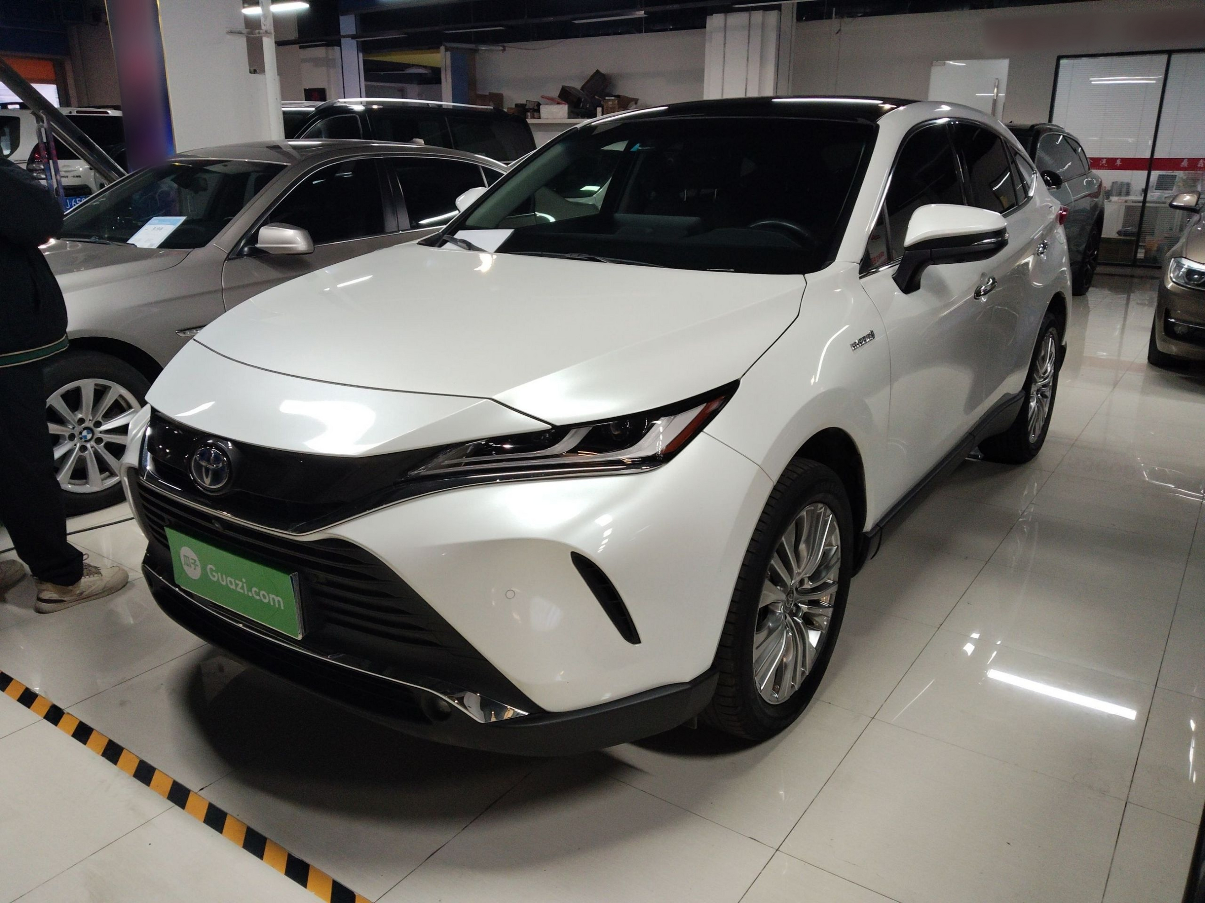 تحت مقدمة السيارة