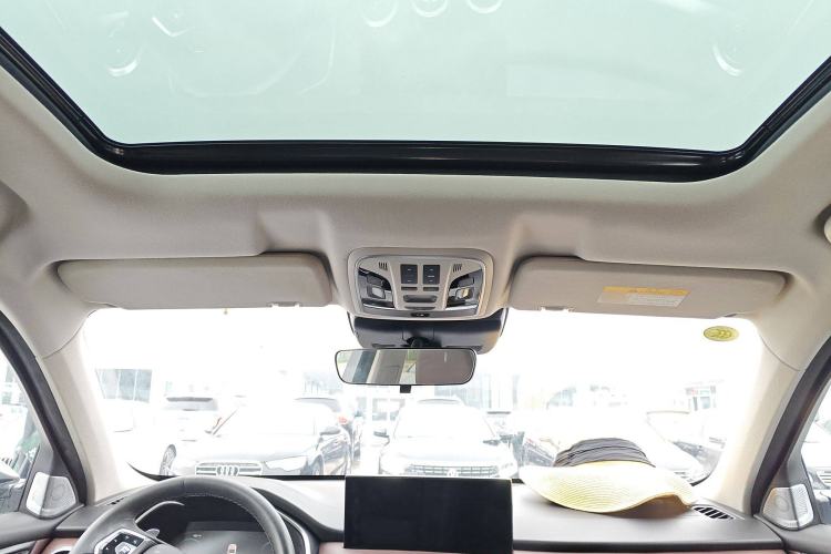 Used Wey VV6 2021 2.0T Two-Wheel Drive Smart Protection+
