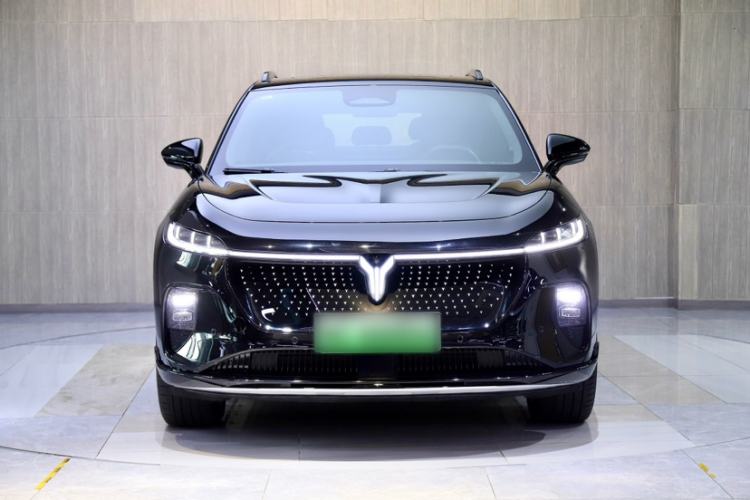 Used VOYAH COURAGE 2024 Four-Wheel Drive Global Edition