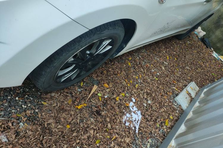 Used Hyundai Elantra 2016 1.6L Automatic Smart Version
