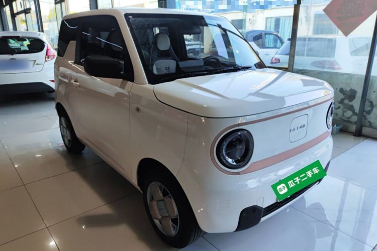 Used  Panda 2023 Panda Mini 200km Endurance Bear
