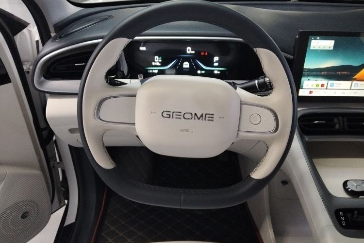 Used  Geome 2025 310km Youth Edition
