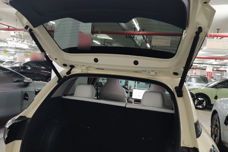 Used  Geome 2025 310km Dream Edition